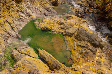 温泉によるコケに覆われる沢