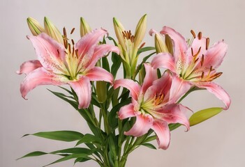 Obraz premium a vase filled with pink flowers on top of a table