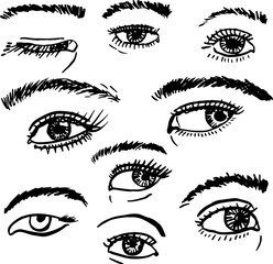 Expressive eyes hand drawing. Eyebrows eyelashes look. Vector illustration.