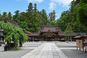多賀大社の境内 本殿