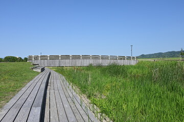 大きな公園の川を渡る橋のある風景