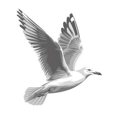 Obraz premium A seagull clipart, bird element, grey and white, isolated on white background