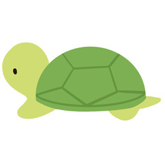a cute turtle on a transparent background