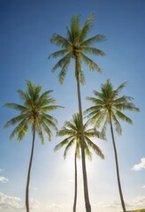 Palm trees against blue sky.