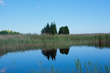Landscape at a Wetland Park in Rural Latvia in Summer