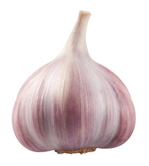 Fragrant garlic isolated on transparent background.