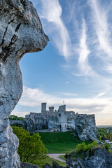 Fototapete bei efototapeten.de bestellen   