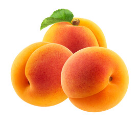 Three whole apricots isolated on a transparent background.