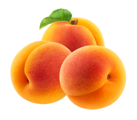 Three whole apricots isolated on a transparent background.