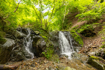 新緑の沢登り