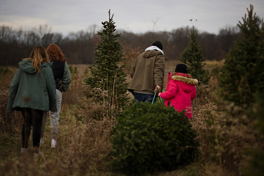 Father pulling Christmas tree with three young daughters