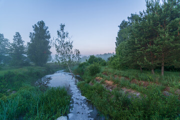 river in the forest