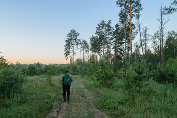 Fototapeta premium walking in the forest