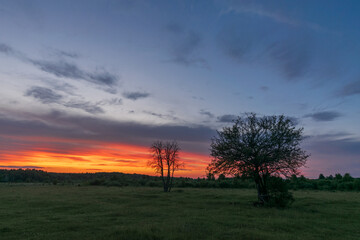 sunset in the field