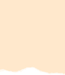 Paper Torn Notebook Element