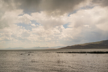 Hazy Sky and Clouds Outside Birds