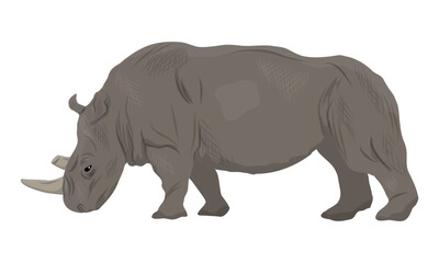 Obraz premium African white rhinoceros. Realistic vector 