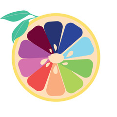 illustration of citrus fruit