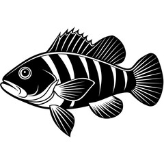 Wrasse fish silhouette vector art illustration.