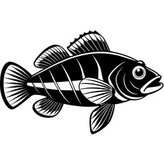 Wrasse fish silhouette vector art illustration.