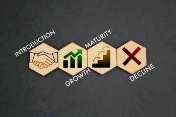 hexagon with icons and the words introduction, growth, maturity, and decline. A product life cycle...