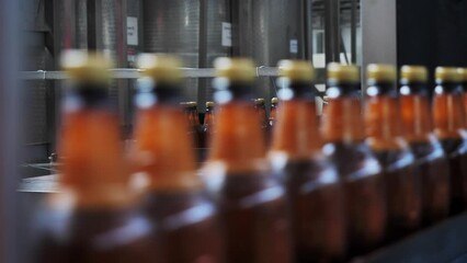 Brewery. Industrial line for bottling carbonated alcoholic drinks. Plastic beer bottles move along a factory conveyor. Production stages. Filling beer into PET bottles at a brewery.