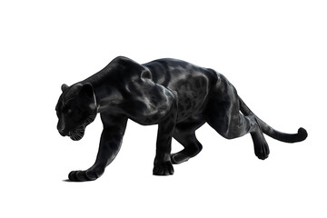Fototapeta premium A black panther is walking on a white background transparency background PNG
