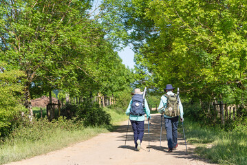 Fototapeta premium Walking peacefully on the Camino de Santiago