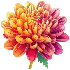 Vibrant Multicolored Chrysanthemum