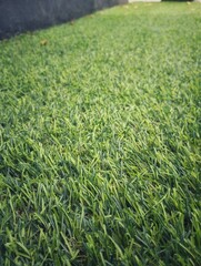 synthetic grass flooring close up