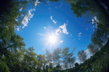 Fototapeta premium 空, 青空, 雲, 草原, 池, 木, 森, パノラマ, sky, blue sky, clouds, meadow, pond, trees, forest, panorama