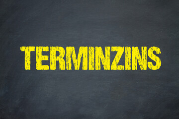 Terminzins	
