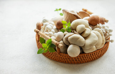 Variety of mushrooms