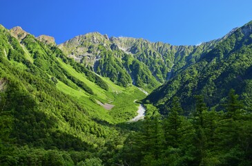 Naklejka premium 上高地の夏景色