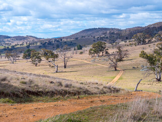 Australia highlands rural farming gum trees hillside dirt track valley