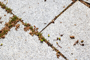 A detailed view of a gray tile flooring with grass sprouting from it