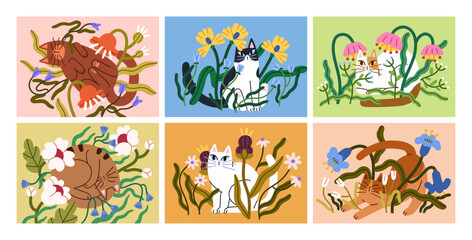 Cute cats in flowers, summer cards set. Funny felines relaxing among blossoms, enjoying nature. Happy kitties chilling in wildflowers, blooms. Flat vector illustration isolated on white background