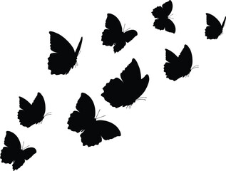 Vector illustration. isolated butterfly flying. Flying butterfly silhouettes on white background.