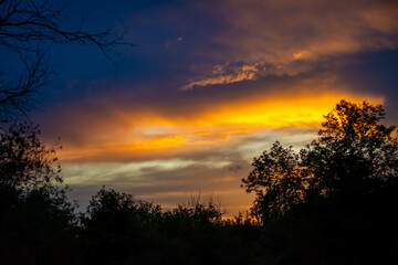 Fototapeta premium Sunset in the woods. High quality photo