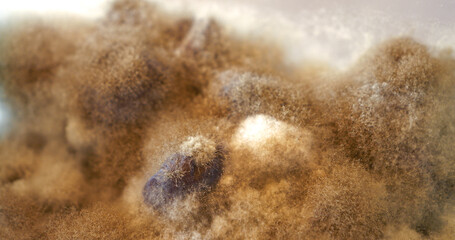 CLOSE UP, DOF: Details of fluffy brownish-white mould with little white crystals