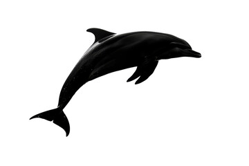 Fototapeta premium High-quality silhouette image of a dolphin gracefully leaping out of water. Perfect for aquatic-themed projects and designs.