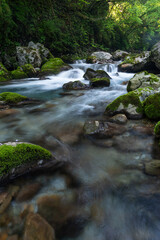 美しい川の流れ