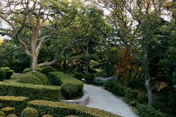 Obraz premium Tranquil park setting with walkway leading to tree in the center surrounded by lush greenery