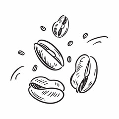Coffee beans floating isolated on transparent background

