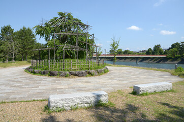 宇治観光　宇治川中の島の枝垂れ桜　京都府宇治市