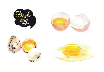 Illustrated watercolor Fresh Eggs Collection: Whole, Cracked, and Fried Eggs on White Background
