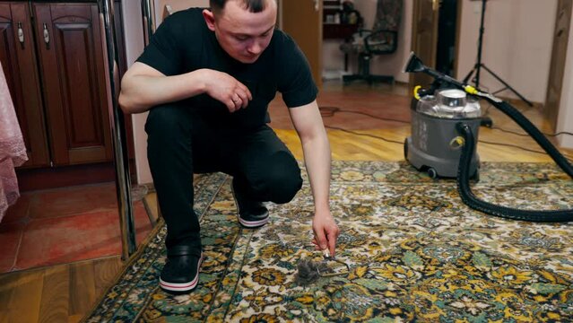 in the apartment master cleaner cleans the carpet using a wool scraper professional cleaning
