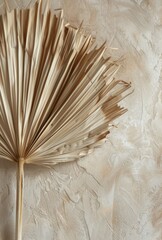 Close Up of Light Beige Palm Leaf Fan