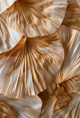 Dried Palm Leaf Fan Bouquet