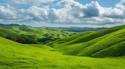 Fototapeta premium Lush Green Hills Under a Clear Blue Sky background 